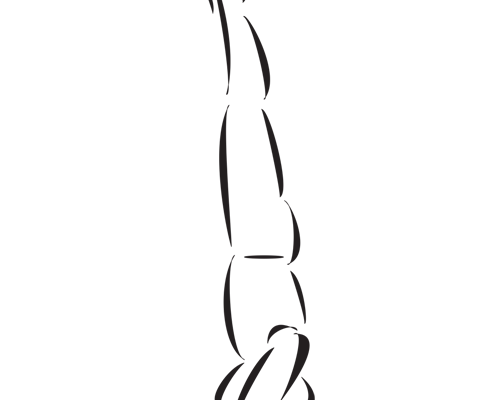Yoga X Posts: How to Do a Bakasana Headstand | TheFitClubNetwork.com