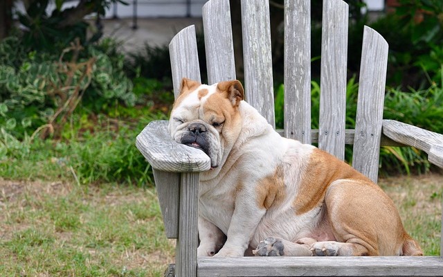 Fitness Burnout: It Happens to ALL of Us | TheFitClubNetwork.com