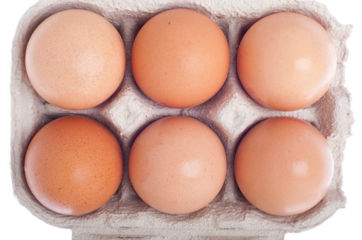 Why have a high protein diet? | TheFitClubNetwork.com