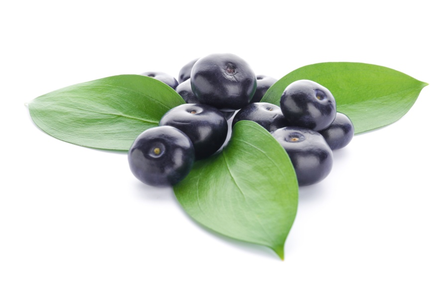 SHAKEOLOGY INGREDIENTS: Acai Berry in Shakeology | TheFitClubNetwork.com