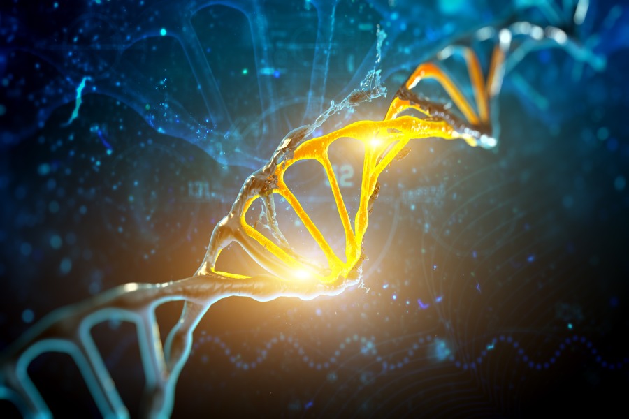 Reprogramming Your Genes | TheFitClubNetwork.com