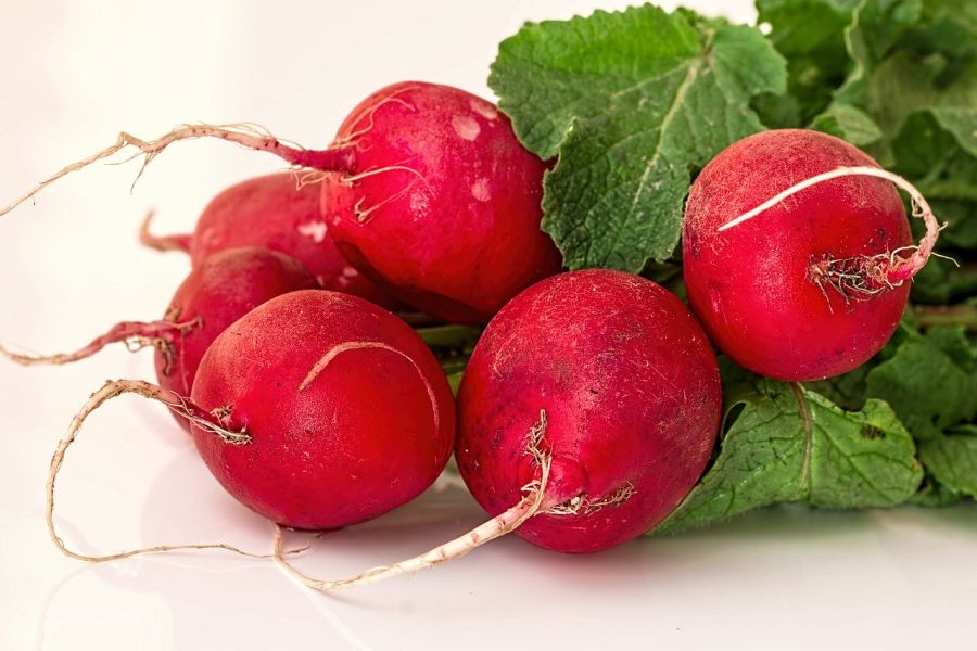 Lessons From a Radish: Don't Give Up Too Soon | TheFitClubNetwork.com