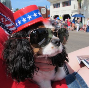 Canine Mayor of Coronado