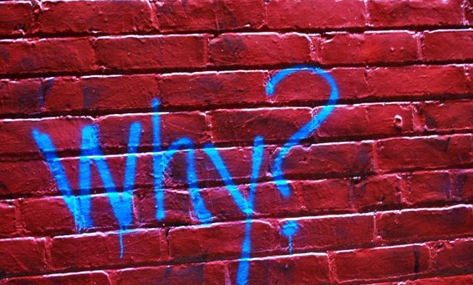 Why Did You Do That? | TheFitClubNetwork.com