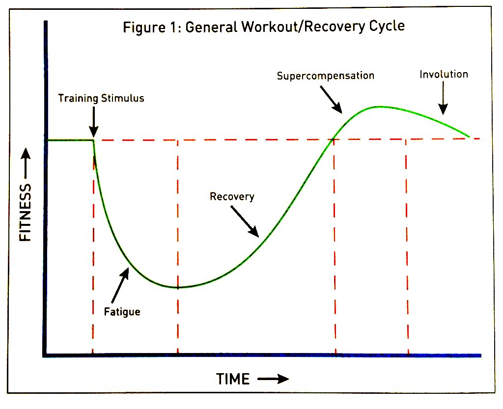 Is P90X Recovery Week Necessary? | TheFitClubNetwork.com