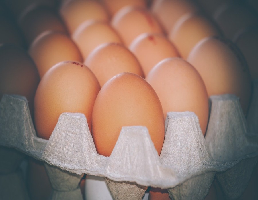 All About Eggs | TheFitClubNetwork.com