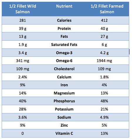 Nutrition values of wild vs farm raised salmon | TheFitClubNetwork.com
