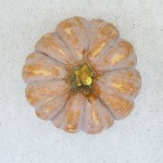 Shakeology Pumpkin Energy Balls | TheFitClubNetwork.com