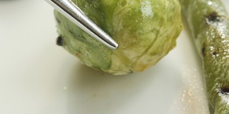 Coach Monica's Tips for Dining Out on the 21 Day Fix | THEFITCLUBNETWORK.COM