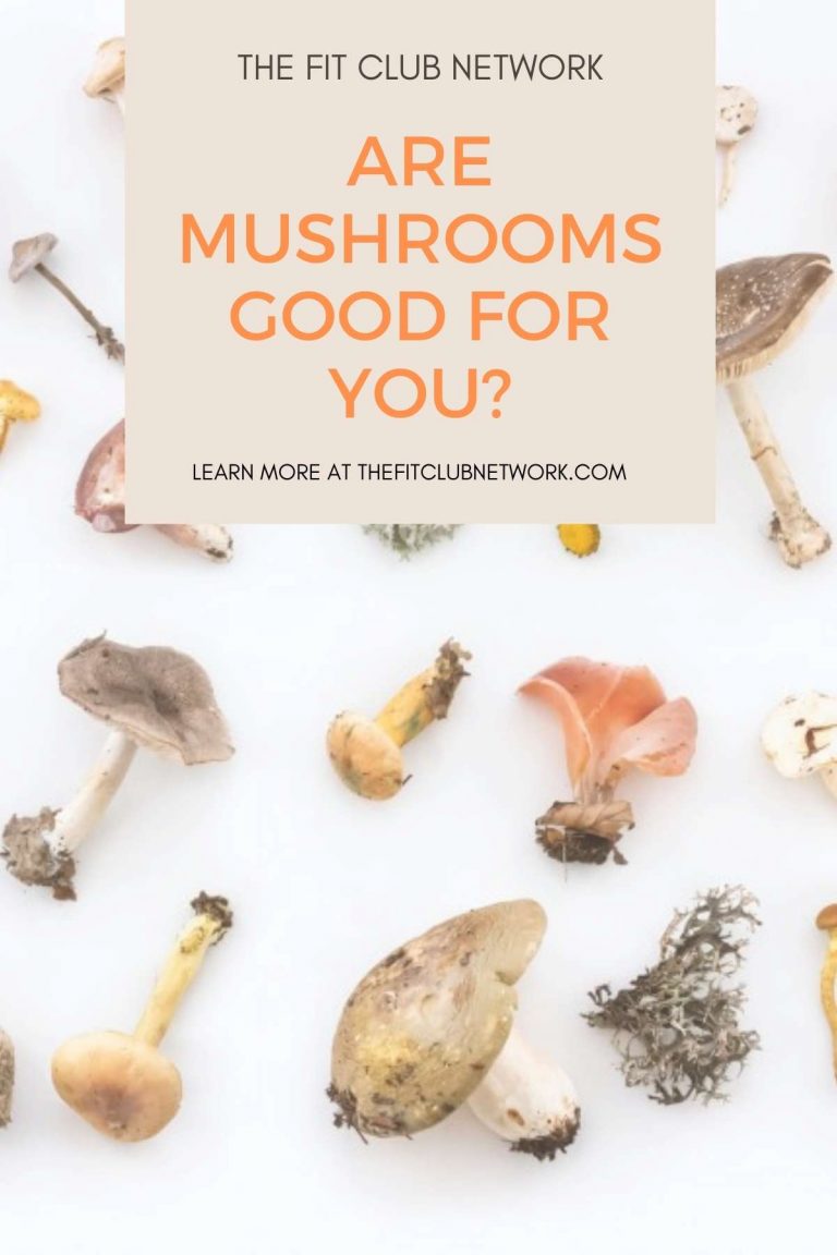 Are Mushrooms Good for You? The Fit Club Network