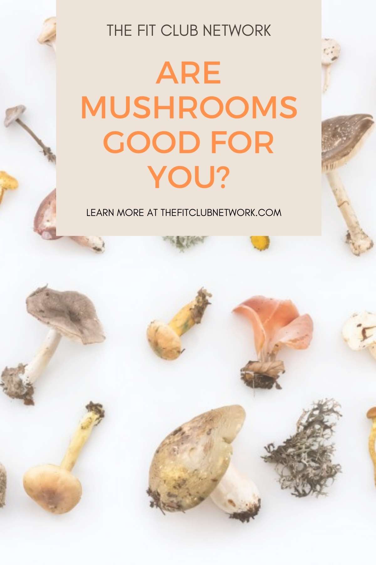 Are Mushrooms Good for You? | THEFITCLUBNETWORK.COM