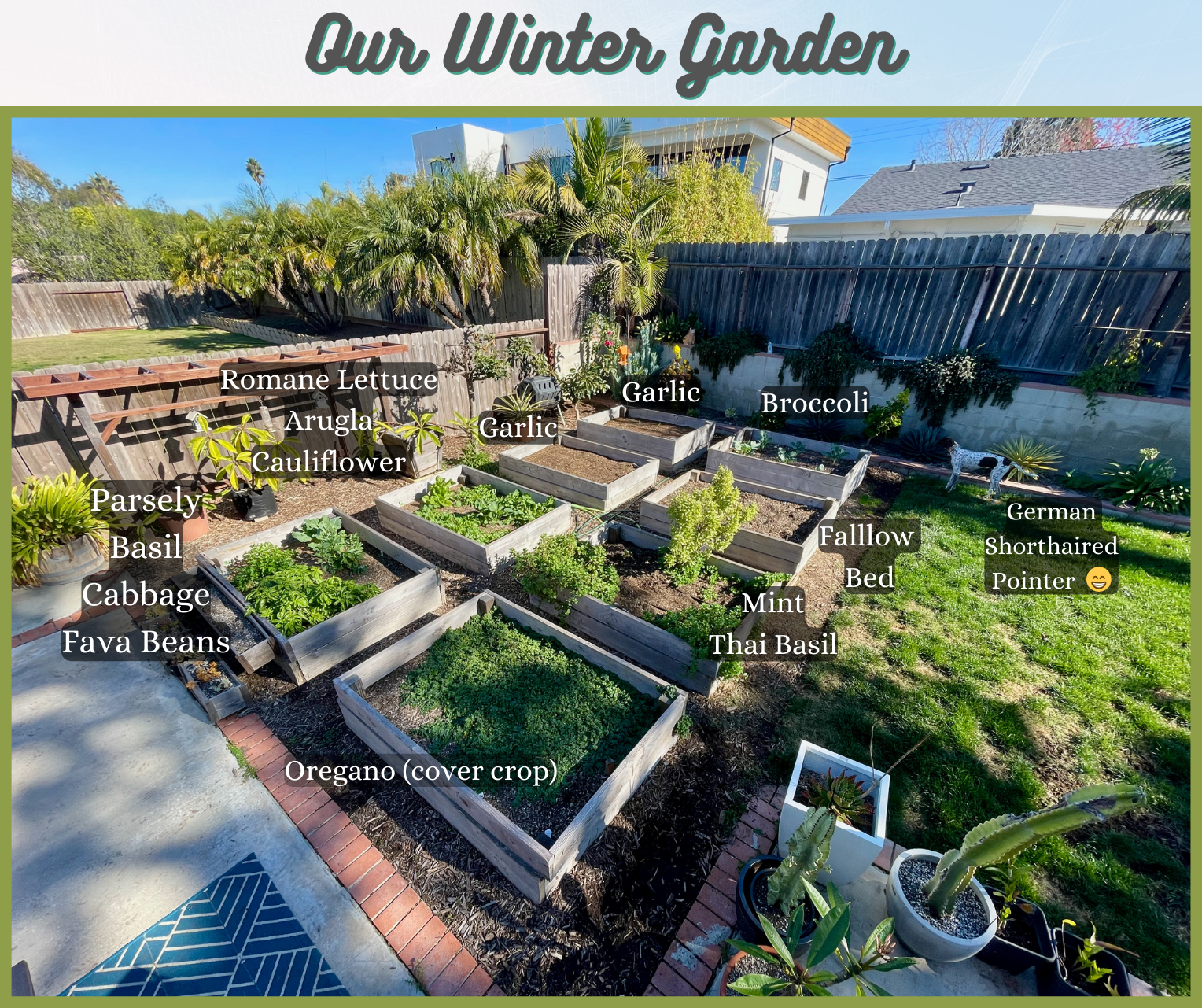 Winter Garden