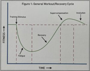 P90X Sports Science Explained